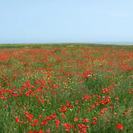 Spacious In Aure Sur With Garden Vakantiehuis Sainte-Honorine-des-Pertes