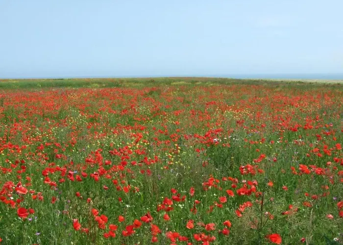 Spacious In Aure Sur With Garden Feriehus Sainte-Honorine-des-Pertes
